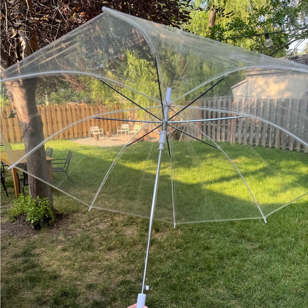 80 Clear Umbrellas for wedding ceremony